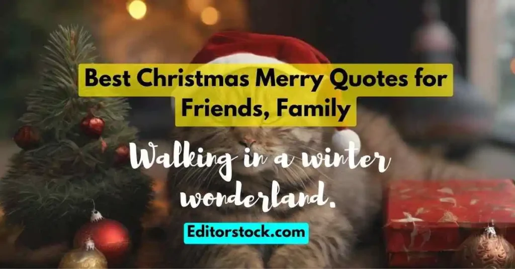 quotes about Christmas